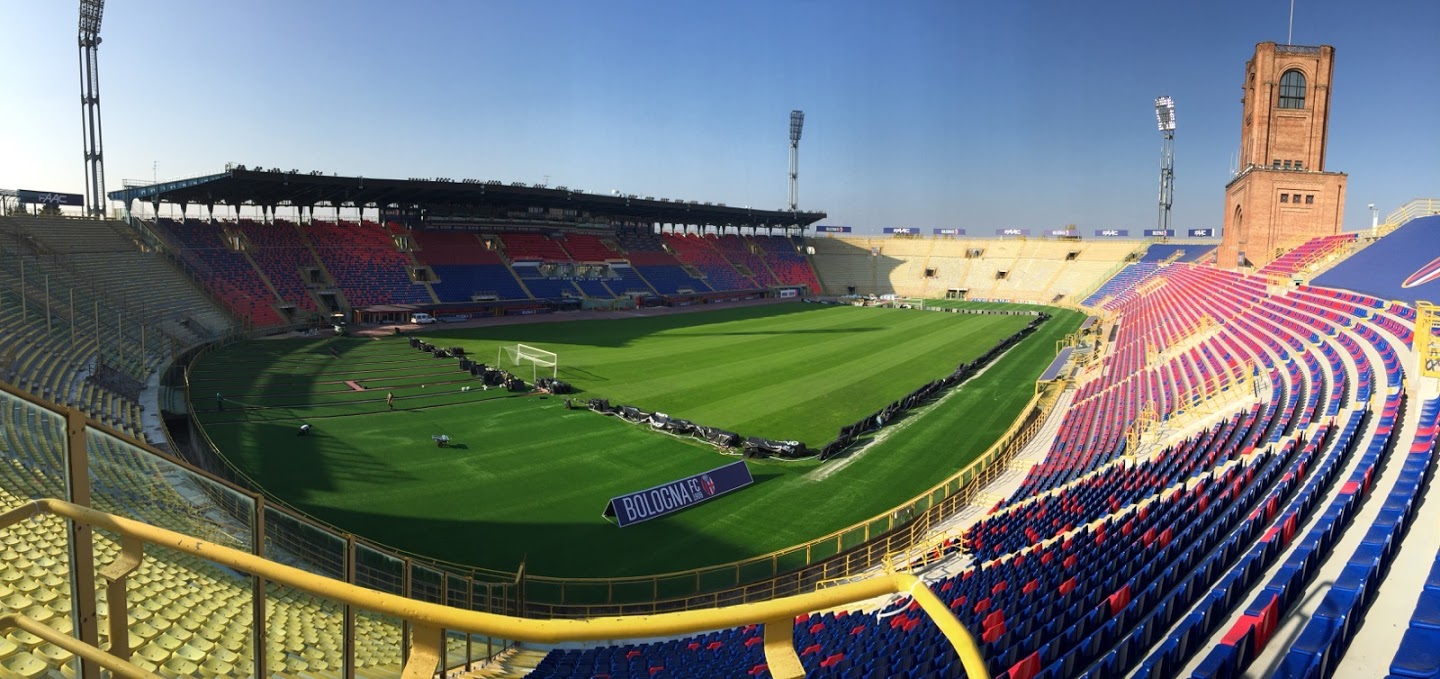 2-Run-off-area-Renato-DallAra-Stadium-Bologna-FC-Italy.jpg