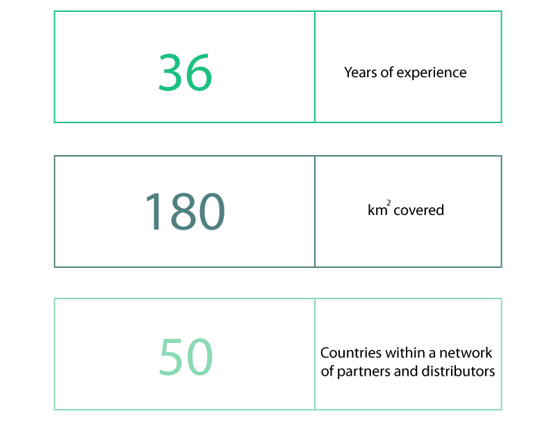 limonta-group-numbers